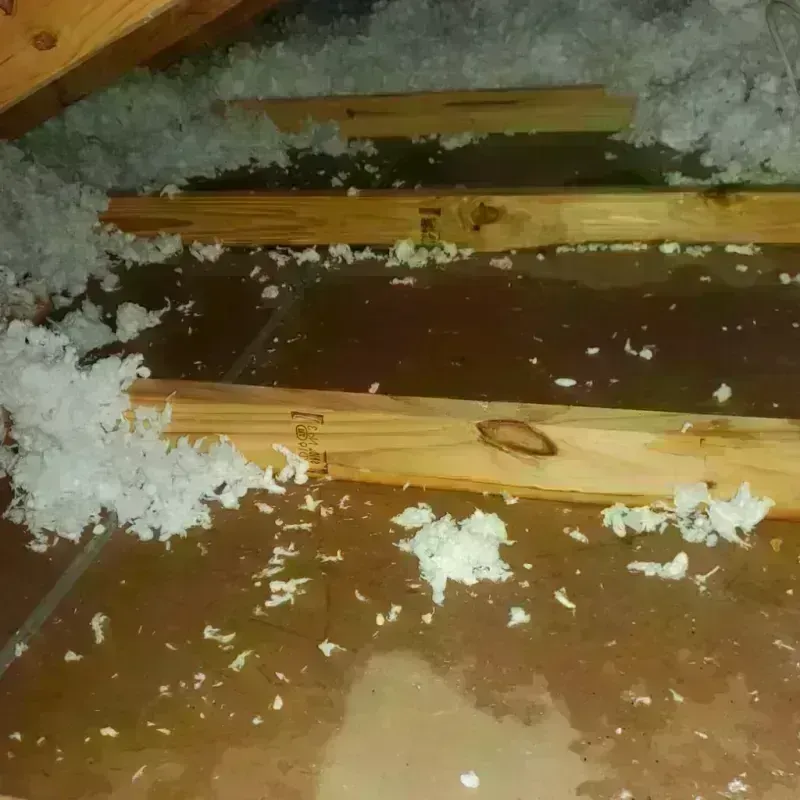 Attic Water Damage in Amity Gardens, PA